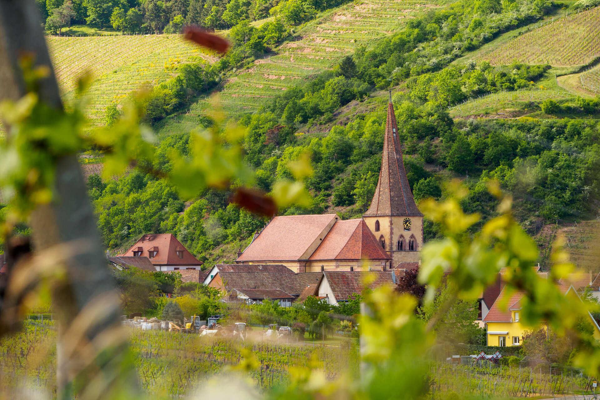 Niedermorschwihr
